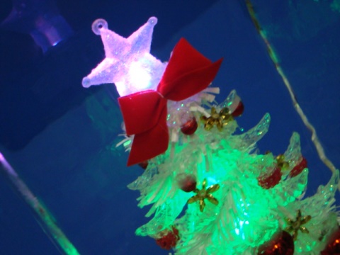 氷華(クリスマスツリー)